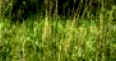 Terreno no Loteamento Veredas - 147,50 m² em Feira de Santana