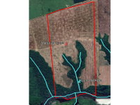 Área Rural de 97,11ha ocupada, ideal para investimento