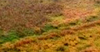 Amplo Terreno Industrial com 80.000 m² em Rondonópolis - MT