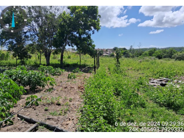 Chácara rural com 6,05 hectares com benfeitorias e curral