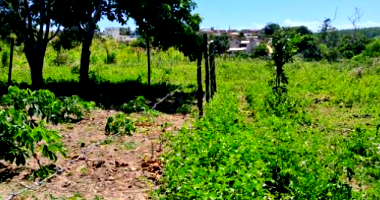 Chácara rural com 6,05 hectares com benfeitorias e curral