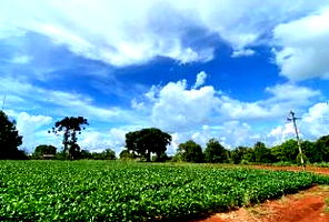 Terreno de 800m² em Toledo/PR