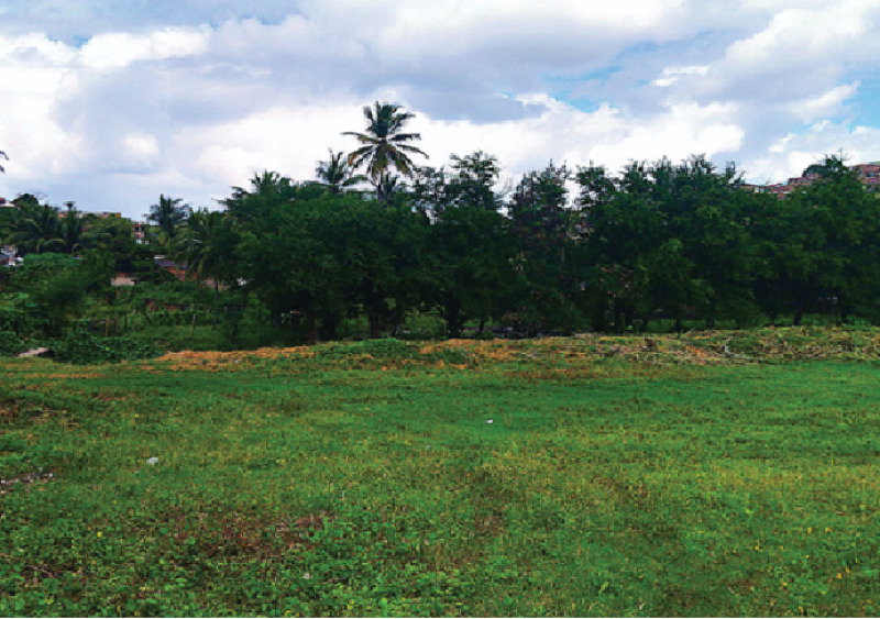 Terreno de 4.180m² em Timbaúba, ideal para construção