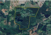Gleba Rural 76ha com Aviários e Benfeitorias