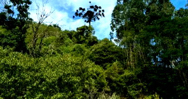 Lote Rural em Itapuca com 58.200 m² - Oportunidade Única