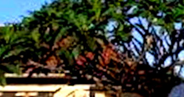 Casa Ocupada com 2 Quartos e 2 Banheiros em Campo Grande/MS