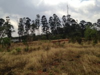 Terreno com 750m² no Milenium, Araguari/MG