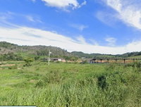 Fazenda Rural com 10 Hectares, Casa e Curral em Boas Condições