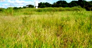 Terreno Urbano Lote 05 com 960m² em Brodowski/SP