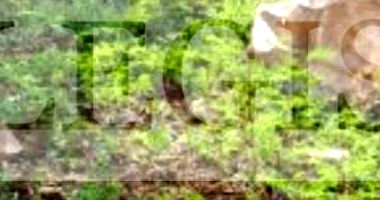 Terreno com 350m² em São Manuel/SP