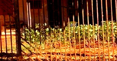 Lote de Terreno Residencial com 250m² em Santa Cruz do Rio Pardo - SP