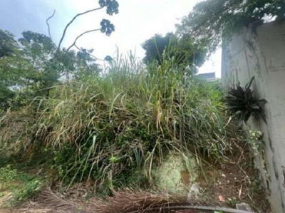 Terreno de 677m² na Ilha do Boi, desocupado e pronto para construir
