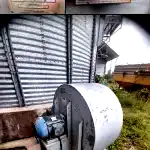 Estrutura Completa para Secagem e Tratamento de Sementes