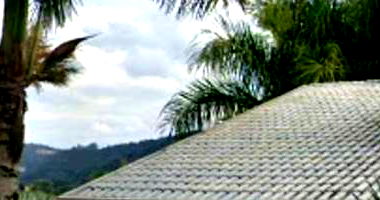 Casa Ocupada no Jardim Maluche com 317m² Construída