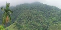 Terreno rural com 151.250m² em Rio dos Cedros/SC