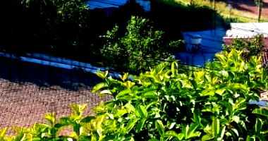 Terreno em Harmonia/RS com 1.678,06m²