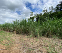 Fazenda com 60ha, 800m² construídos, desocupada