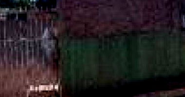 Casa com 1 quarto, 2 banheiros e 1 vaga