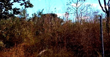 Terreno com Direitos Possessórios em Brasília