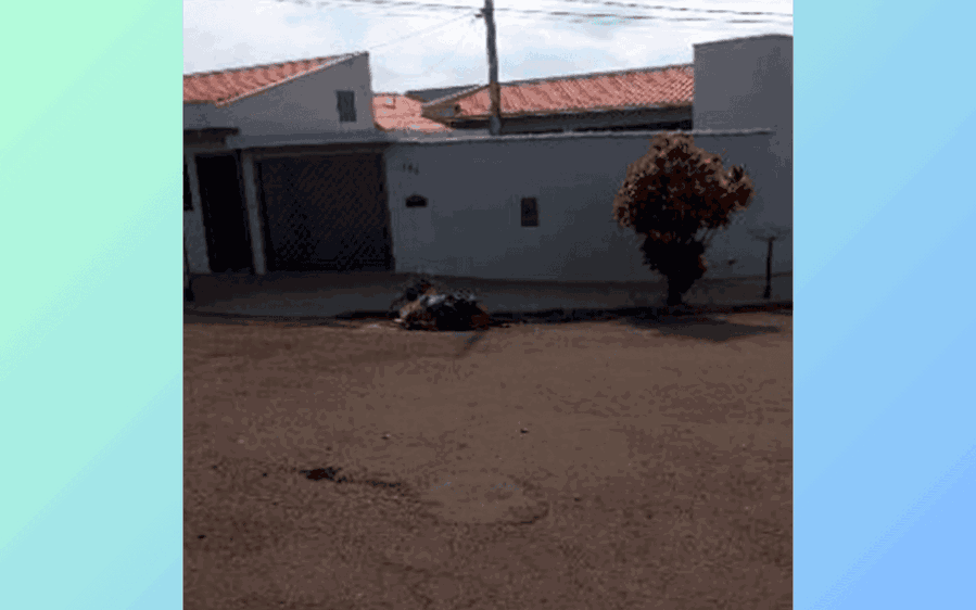 Casa com 4 Dormitórios e 5 Vagas em Araras/SP