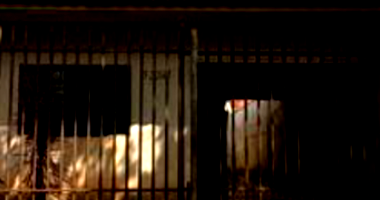 Casa em Maringá/PR com 98m²