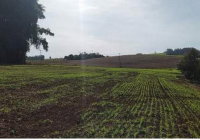 Lote de Terra Rural com Barracão e Casa em Dois Vizinhos - PR