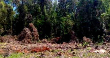 Terreno Amplo com 4725m² em Arvorezinha/RS