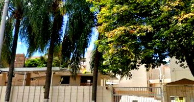 Apartamento 2 quartos, 1 vaga, Vila Marieta, Campinas/SP