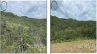 Fazenda Canastrinha - 67,09 HA - Oportunidade Rural em Itapuranga/GO