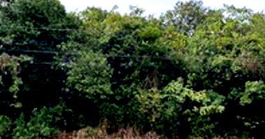 Terreno Urbano em Mafra/SC com 824,50m²