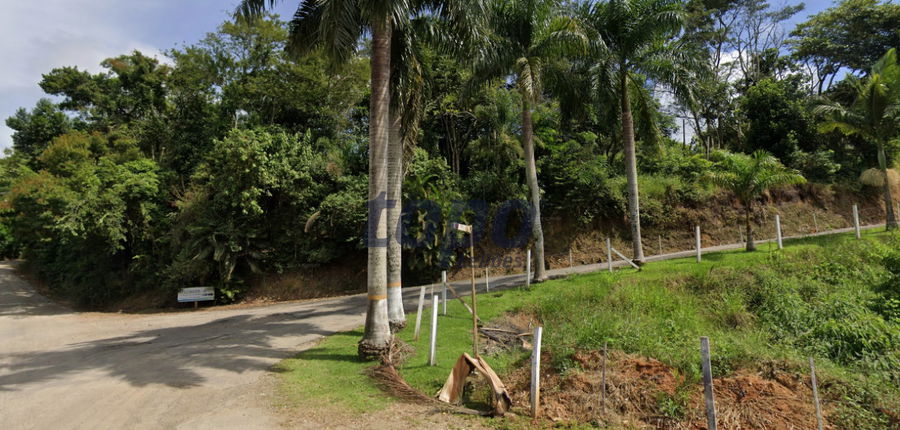 Fração 50% - Imóvel Rural com 137,62 hectares