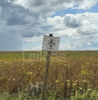 Fazenda Santa Bárbara com 241,89 hectares em Ipameri/GO