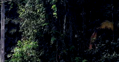 Terreno com 7.754,10m² em Brusque/SC - Fração Ideal