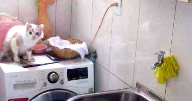 Apartamento com 1 Quarto e 1 Banheiro em Rio de Janeiro