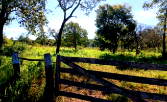 Imóvel rural - 12 hectares em Bonito/MS