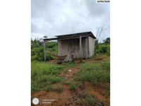 Sítio Rural 99,46 ha com ótima localização em Ariquemes/RO