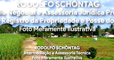 Fazenda Rural 989 ha com grande extensão plana e cana-de-açúcar