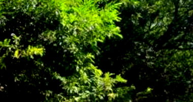 Apartamento com 3 quartos, 103,29m² útil, ocupado