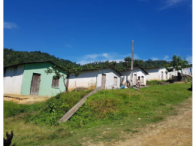 Fazenda Trindade - 282ha com benfeitorias e plantações