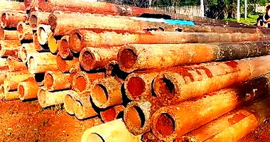 Lote 13: 25 Postes de Concreto Usados - Sucatas