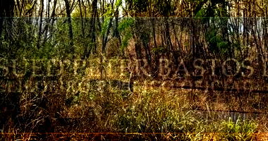 Área Rural com 10.000m² em Conduru