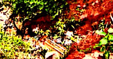 Terreno Rural com 53.990m² em São Sebastião do Alto/RJ