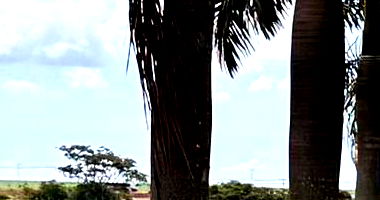 Terreno Urbano de 324 m² em Dourados/MS