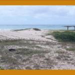 Terreno 240m² em Extremoz/RN