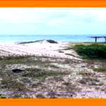 Terreno 240m² em Extremoz/RN