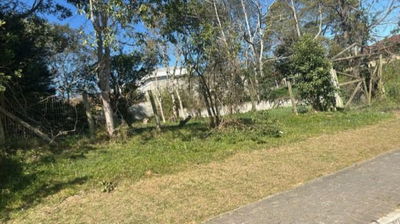 Terreno Urbano de 480m² em Piên - Oportunidade Única!