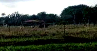 3 Chácaras em Senador Canedo, GO com 21.221,10 m²