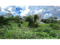 Terreno plano de 252m² com potencial para regularização