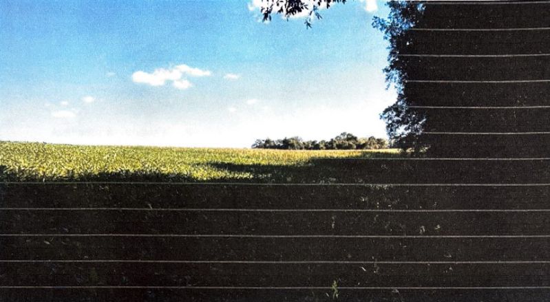 Lote rural de 62.500m² com cultivo de milho