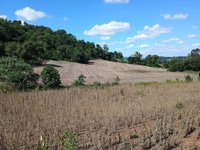Imóvel Rural com 100.000m², com Casa e Galpão